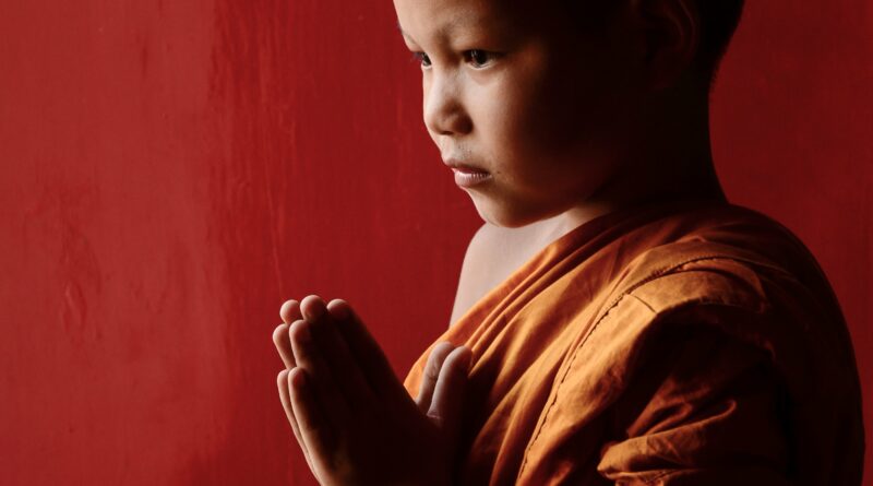 novice, buddhism, monks